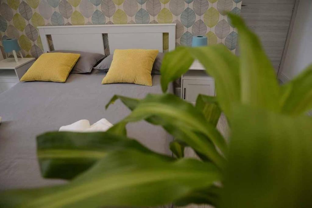 Casa E Per Vacanze Jenner Apartamento *